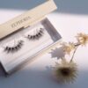 Lashes Euphoria